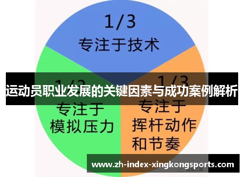 运动员职业发展的关键因素与成功案例解析